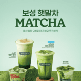 시나본 말차 음료 4종 출시
